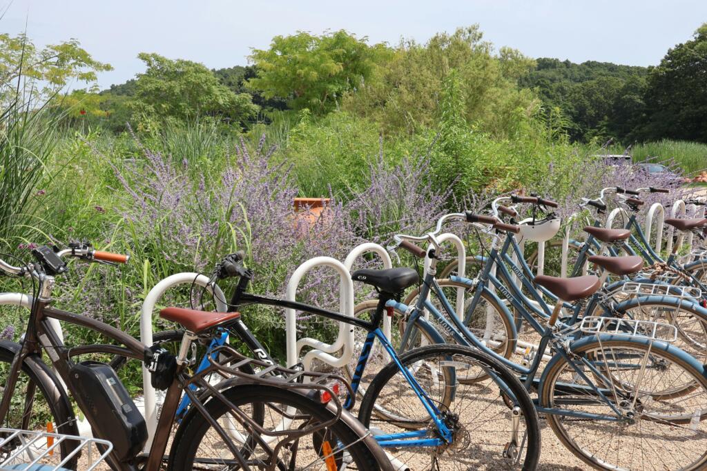 Bicycle Rental Bath