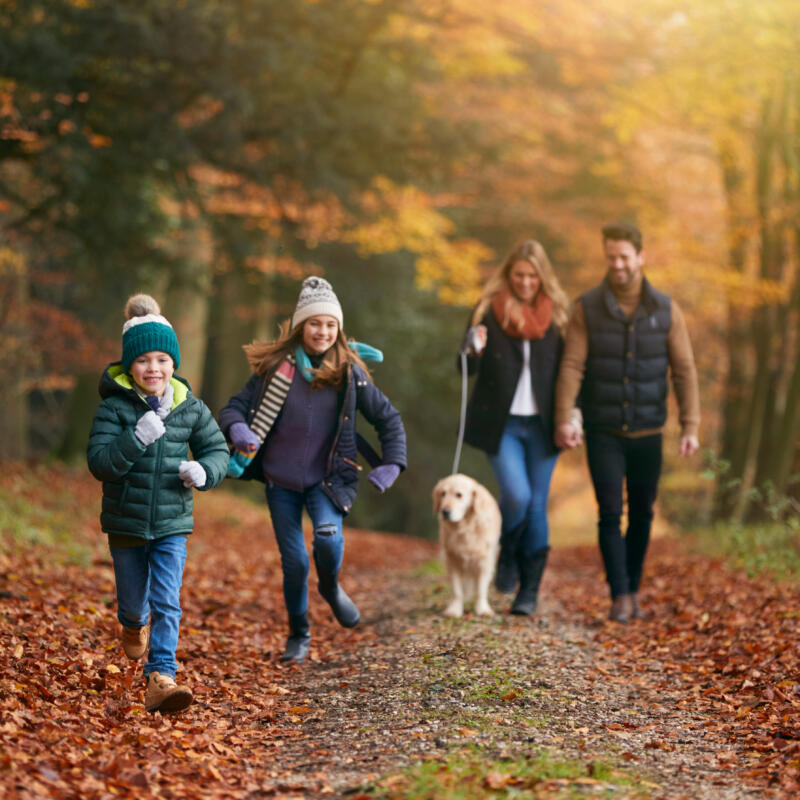 Bath Family Breaks Autumn Winter 1 Scaled Aspect Ratio 800 800